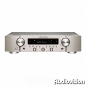 NR1200/N1SG zilver-goud