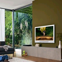 Groenste Sony Bravia tv&rsquo;s ooit